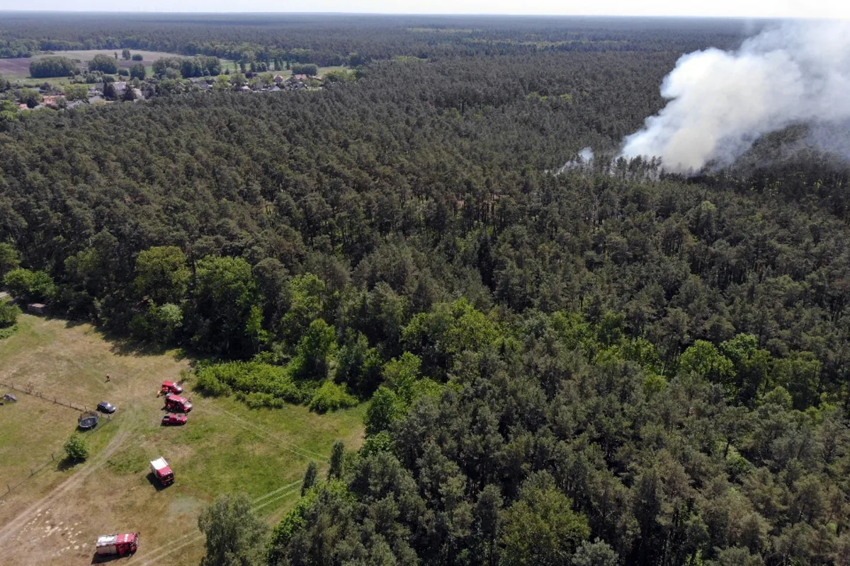 Lüchow-Dannenberg - Mehr als 120 Einsatzkräfte bekämpfen Waldbrand