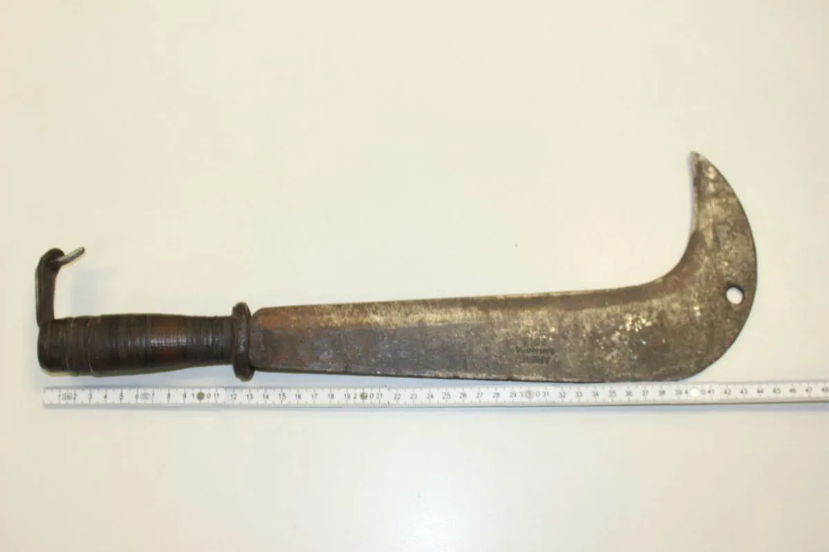 Mann läuft mit Machete durch den Albert-Schulte-Park