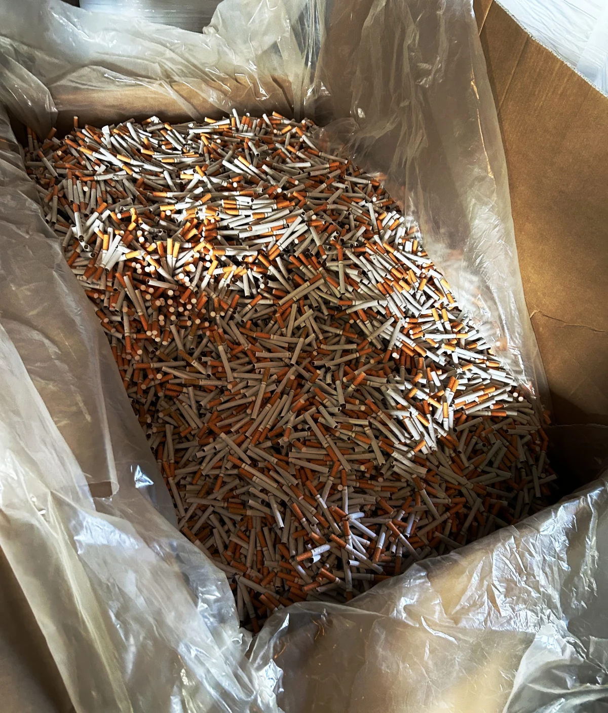 In einem Karton befinden sich viele unverpackte Zigaretten, die lose in einer großen Menge liegen. Der Karton ist mit Plastikfolie ausgekleidet.