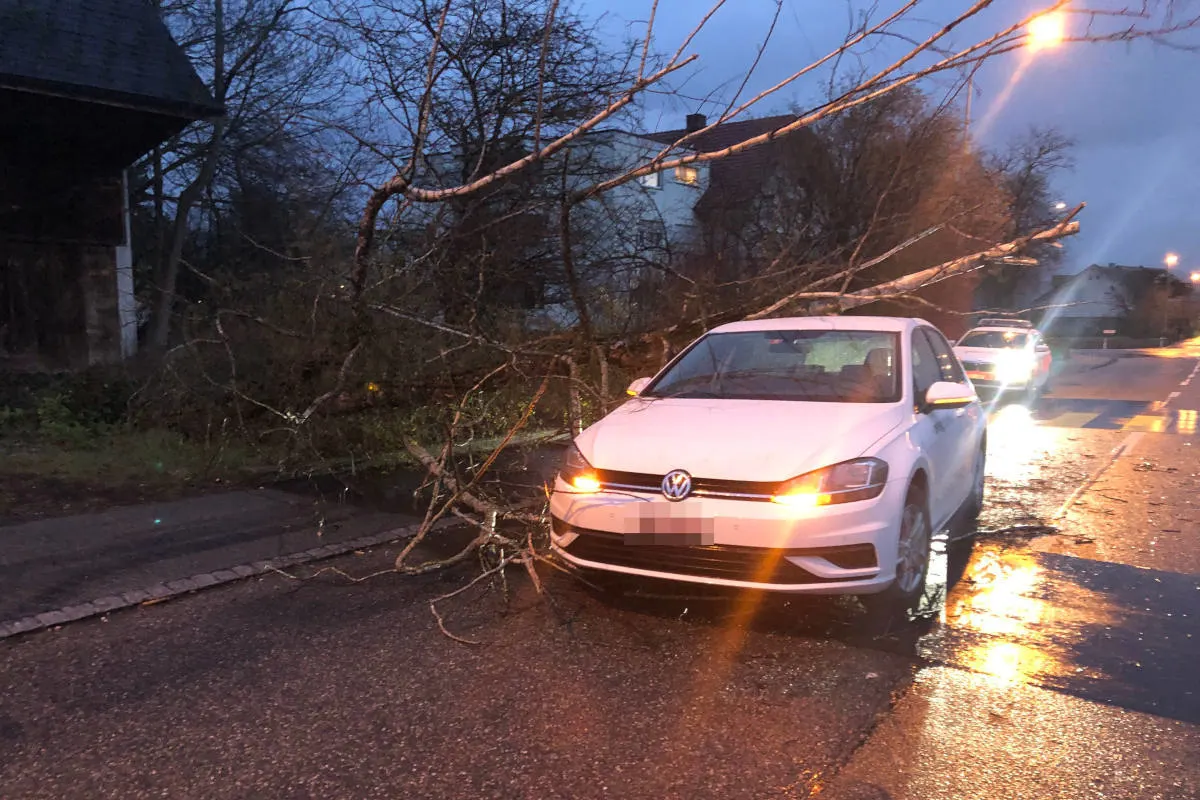 Dulliken SO – Baum stürzt auf fahrendes Fahrzeug