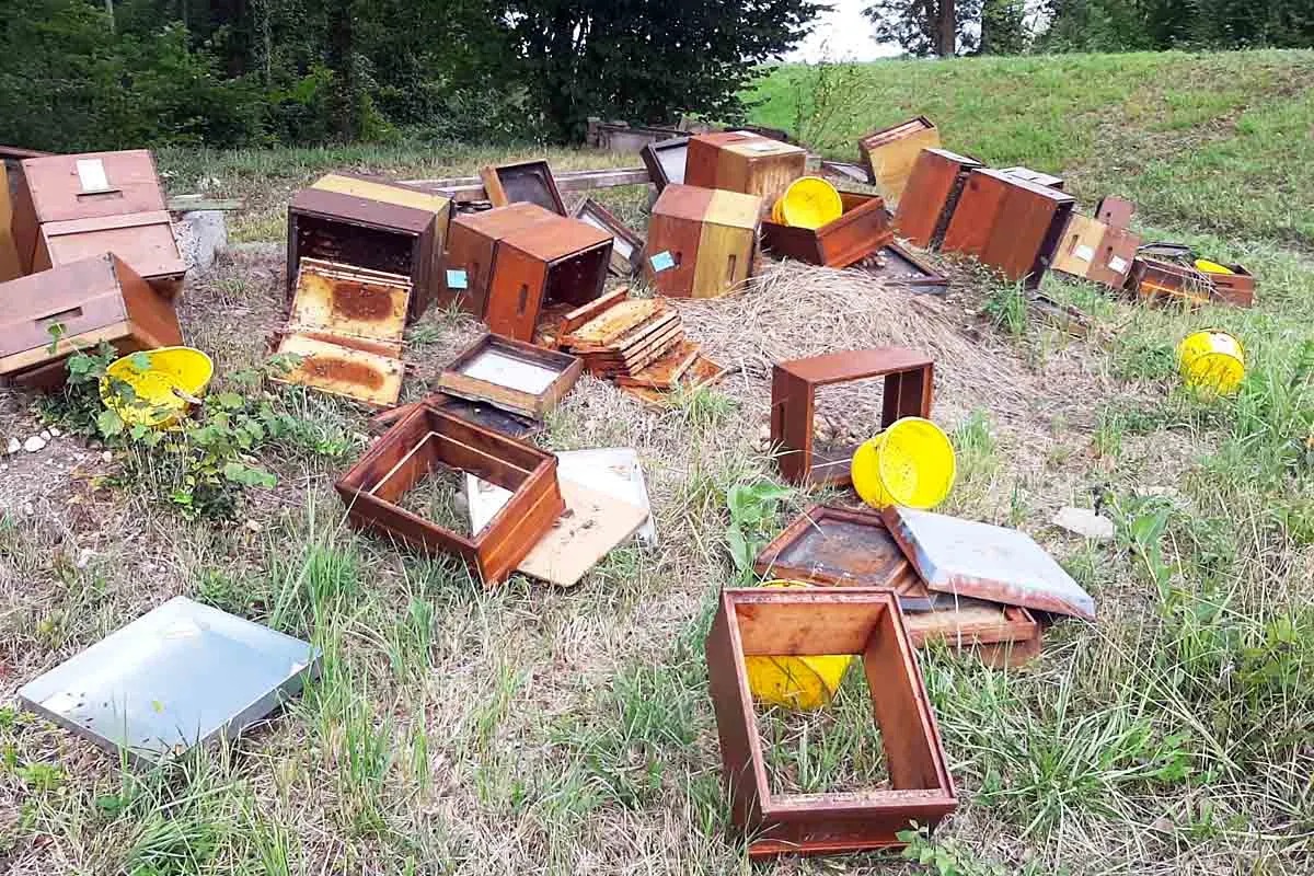 Rheinau, Diersheim - Zeugenaufruf nach zerstörten Bienenvölkern