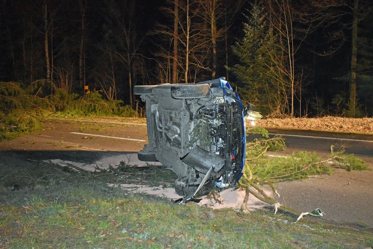 Kanton Luzern -  Tanne fällt vor Auto und verursacht Unfall - Weitere Probleme wegen Sturm "Sabine"