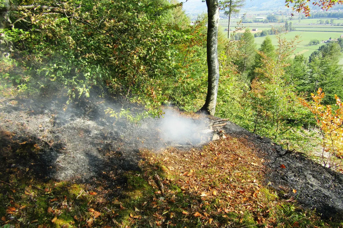 Niederurnen GL - Feuerstelle nicht richtig gelöscht - Zeugenaufruf
