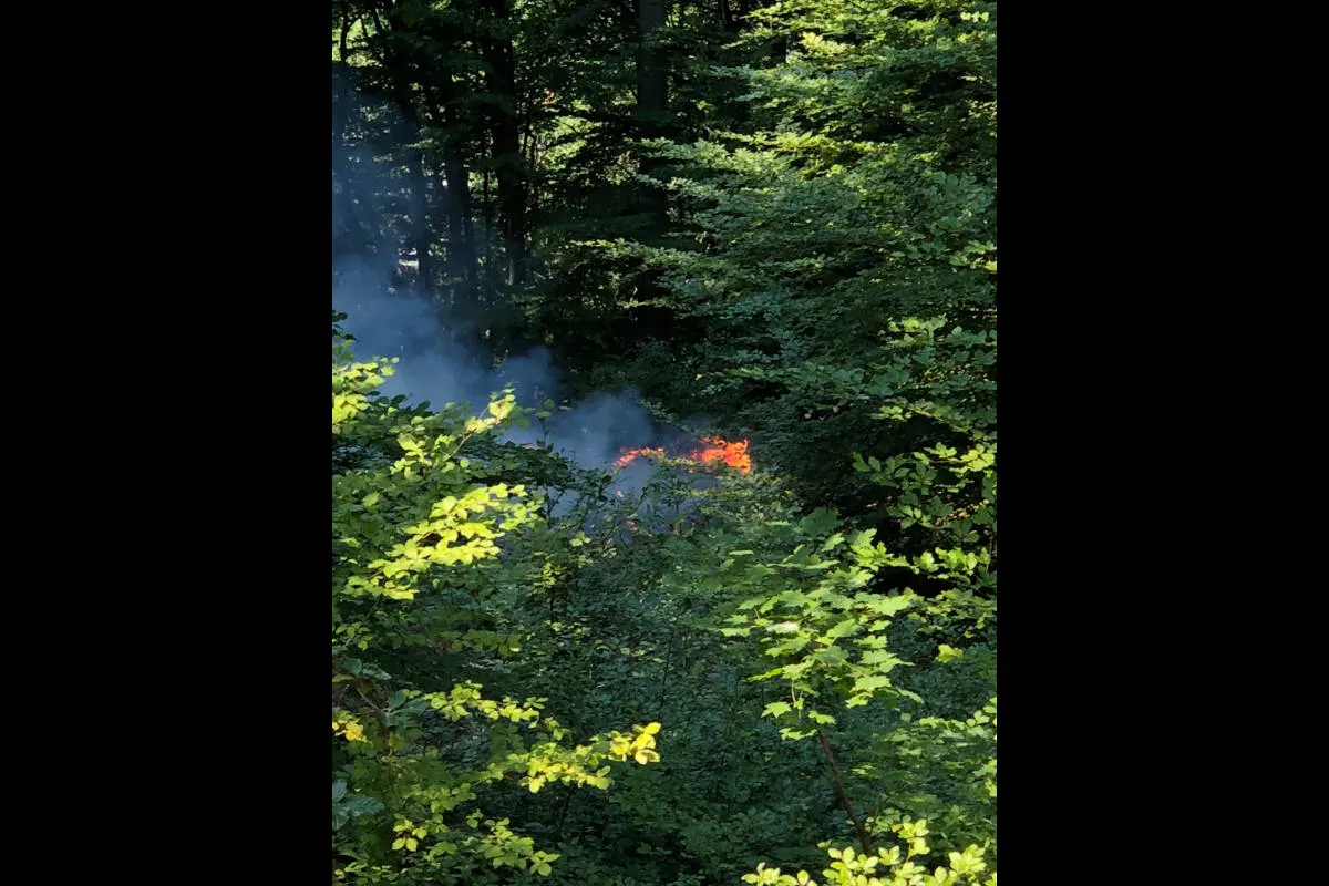 Stadt St.Gallen - Feuer im Menzlenwald