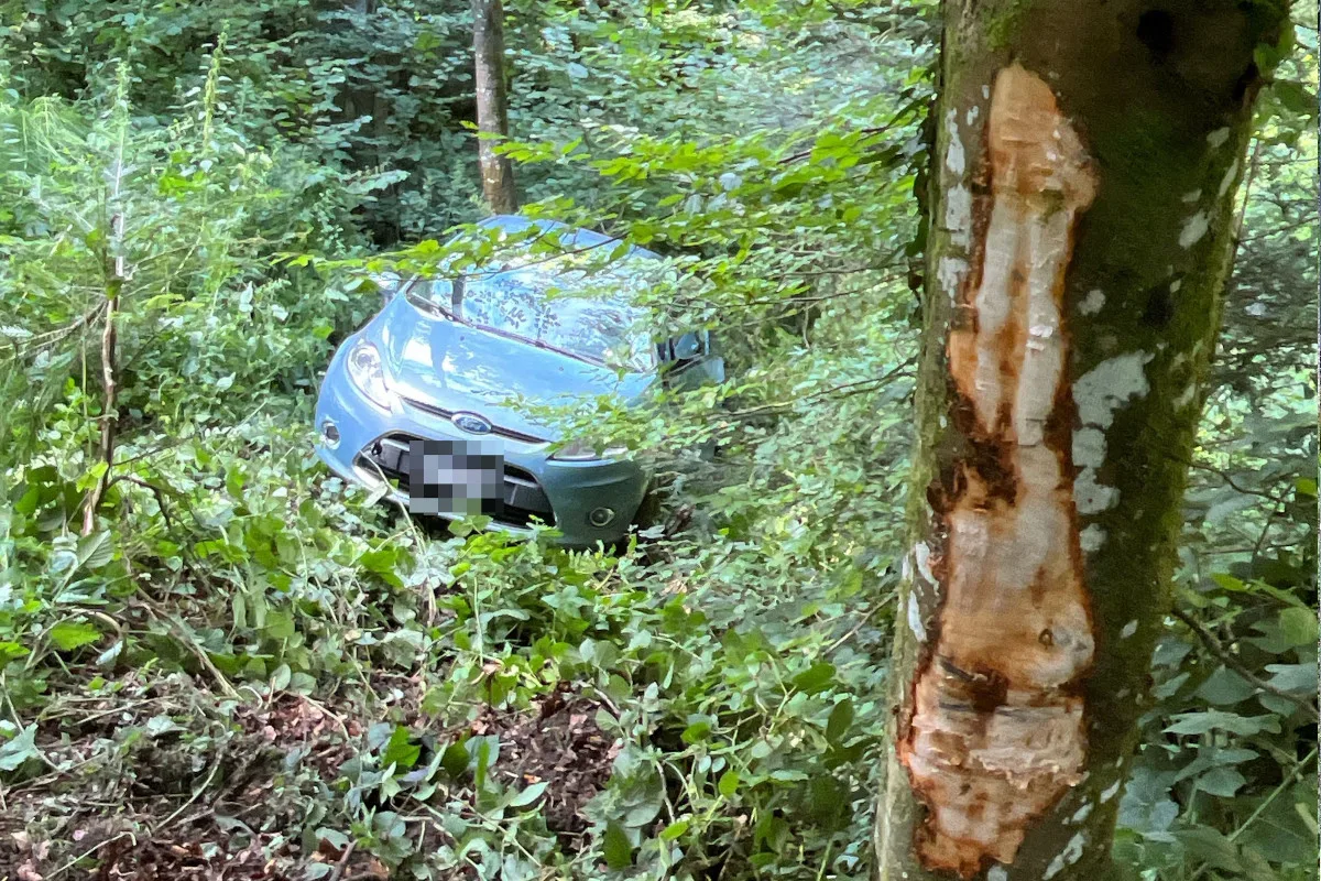 Gossliwil SO – Autofahrer prallt bei Unfall in Baum