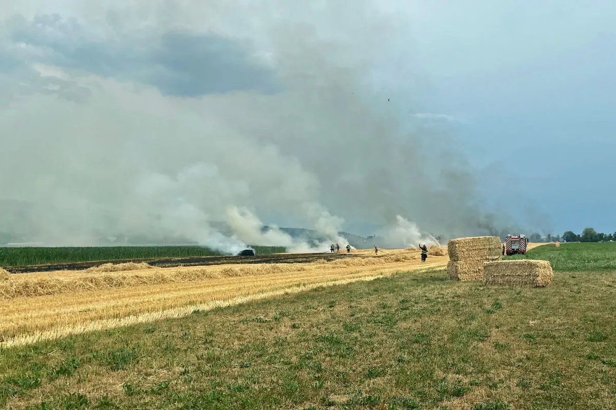 Rauchwolken steigen von einem Feld auf, während mehrere Feuerwehrleute versuchen, das Feuer zu löschen. Ein Traktor steht nahebei.