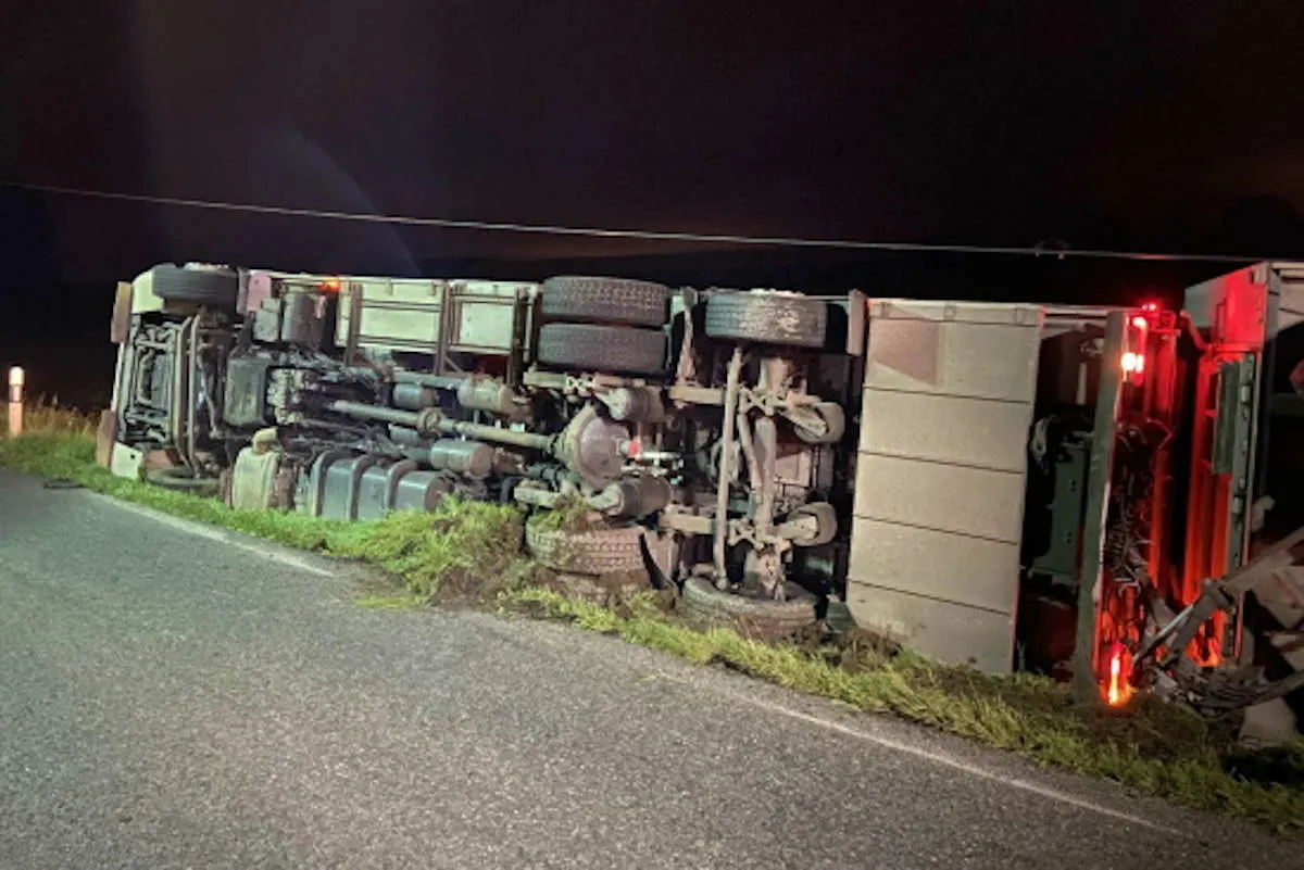 Tafers FR – Mehrere Tiere verenden bei Verkehrsunfall mit Tiertransporter