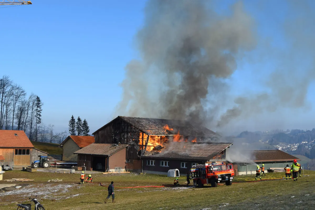 Stein AR - Stall fängt Feuer