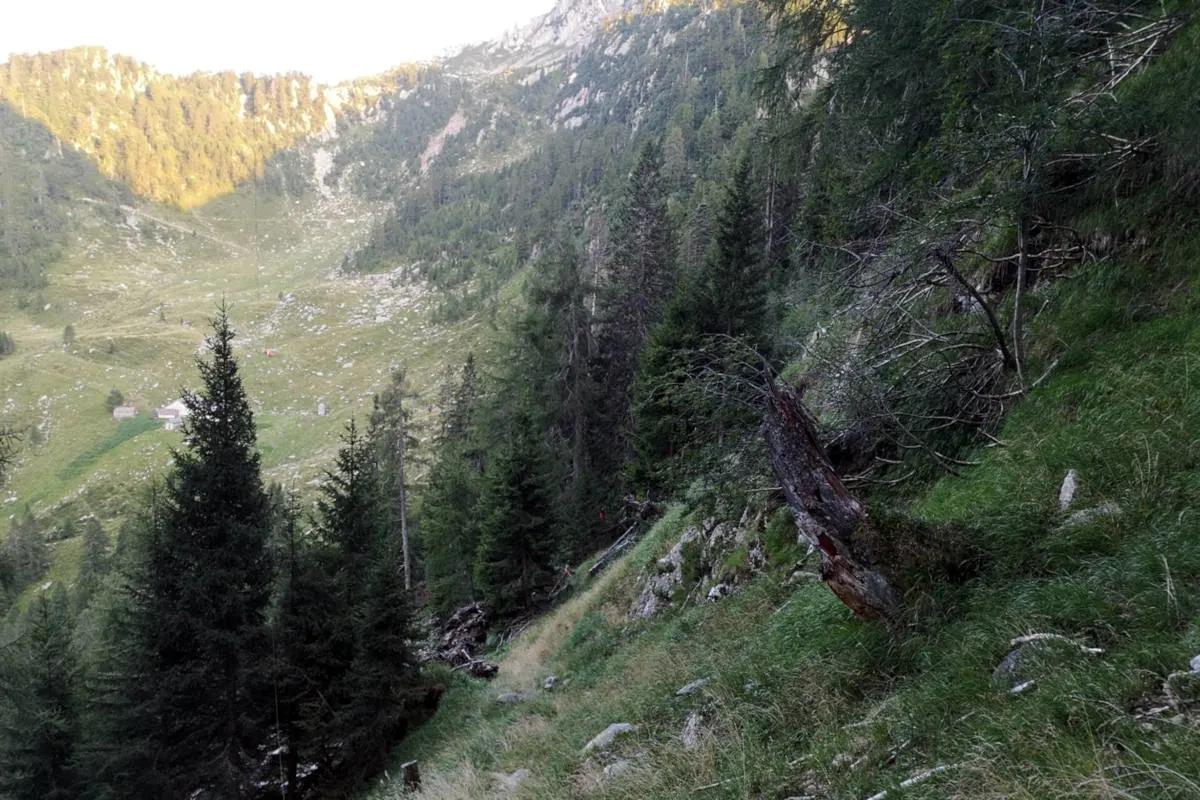 Gschnitz - Tödlicher Alpinunfall