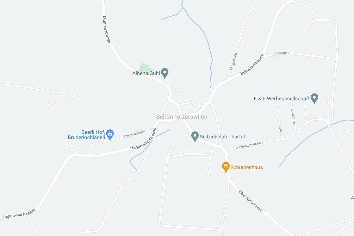 Schönholzerswilen TG - Nach Ausweichmanöver verunfallt - Frau und dreijähriges Kind zur Kontrolle ins Spital gebracht
