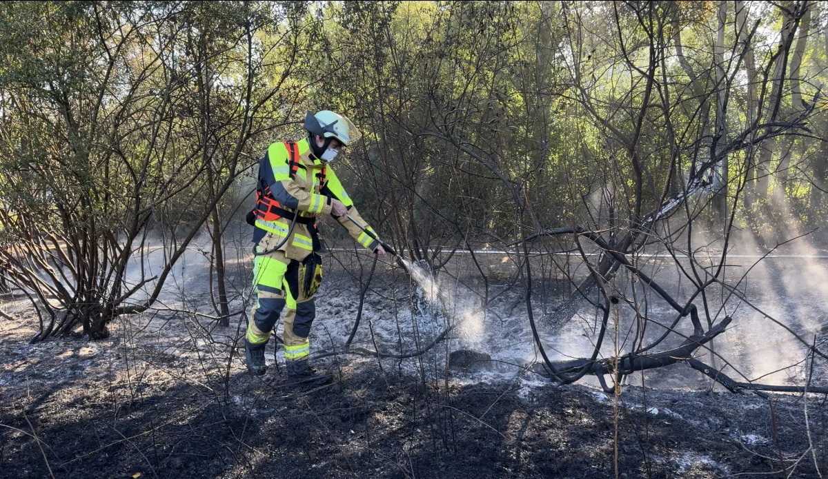 Ein Feuerwehrmann in voller Montur löscht mit einem Schlauch Glutnester auf dem Boden in einem verbrannten Waldgebiet. Um ihn herum sind verkohlte Bäume und Rauch sichtbar.