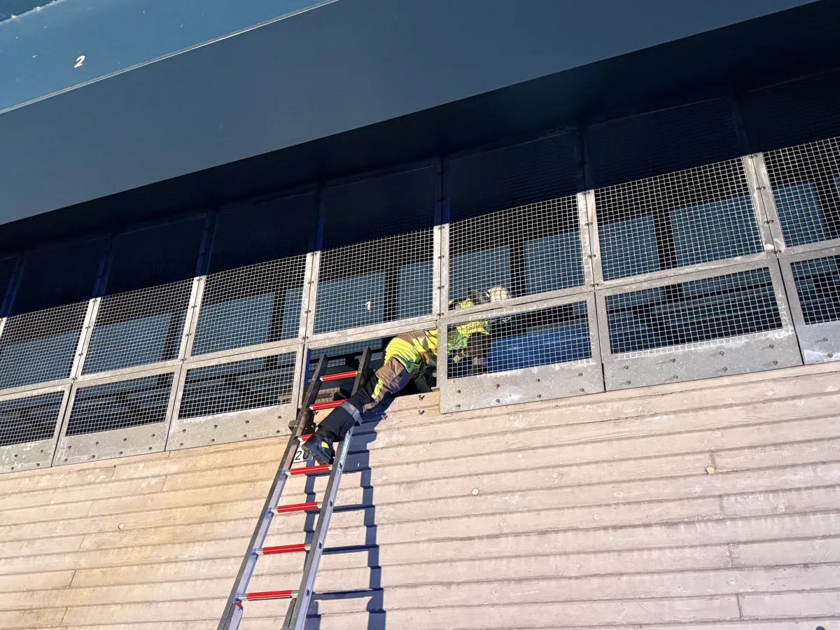 Ein Feuerwehrmann mit gelber Schutzkleidung steht auf einer Leiter vor der Fassade eines Gebäudes mit Gittern.