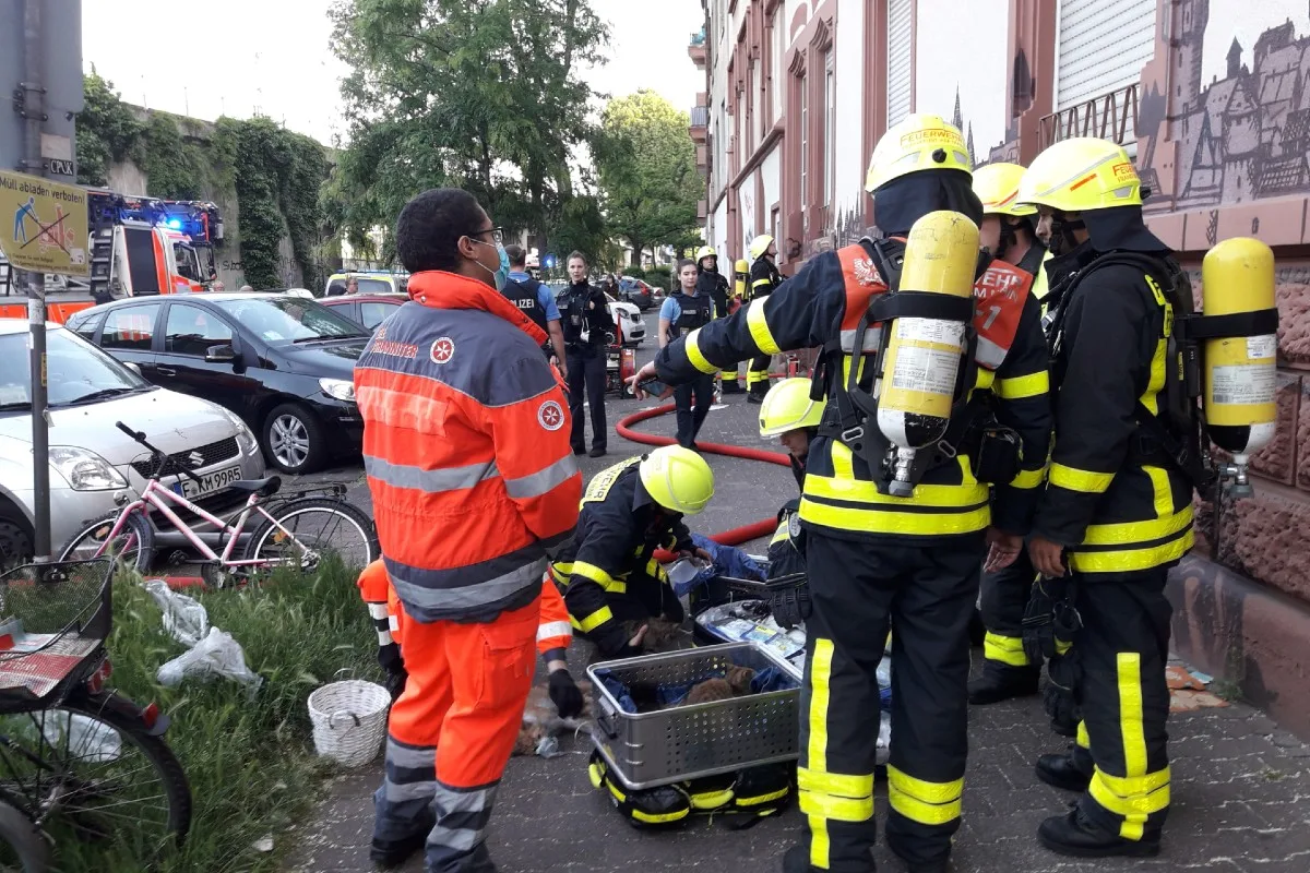 Frankfurt am Main - Feuerwehr rettet 9 Katzen bei Küchenbrand 