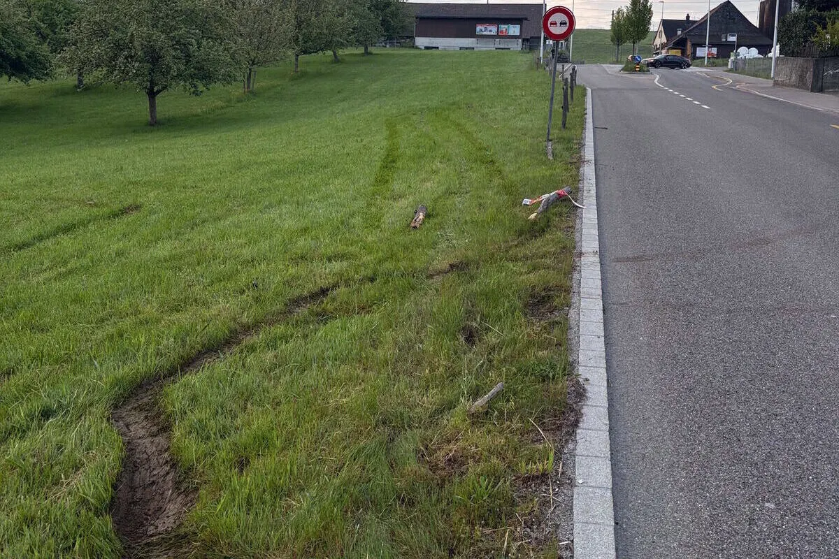 Eine Straße mit einer angrenzenden Grasfläche, auf der frische Reifenspuren zu sehen sind, daneben eine beschädigte Leitplanke.