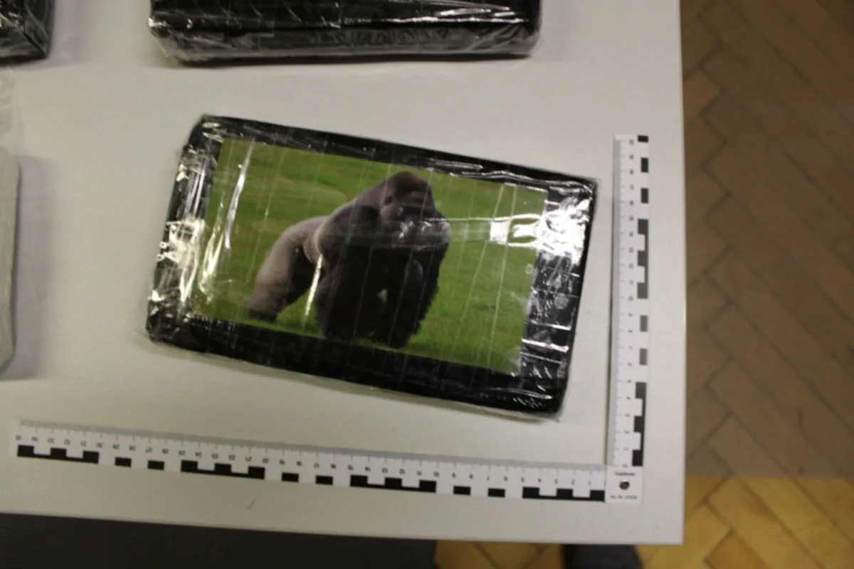 Ein in Folie verpacktes Paket mit einem Gorilla-Bild liegt auf einem Tisch, daneben ein Maßstab zur Größenabschätzung.