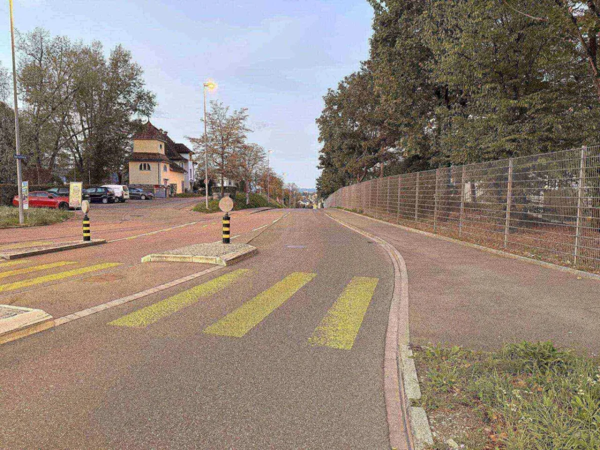 Die Szene zeigt eine leere Straße mit Zebrastreifen, bürgersteigseitig von Bäumen gesäumt und parkenden Autos linksseitig. Keine Personen oder Fahrzeuge in Bewegung.