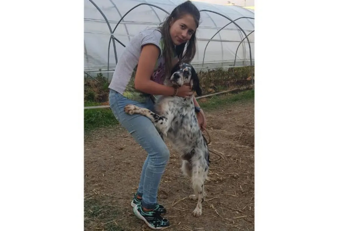 Cham ZG - 3-jähriger Hund dank Amélie gerettet