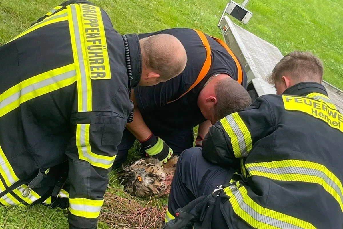 Hennef - Feuerwehr rettet hungrigen Uhu