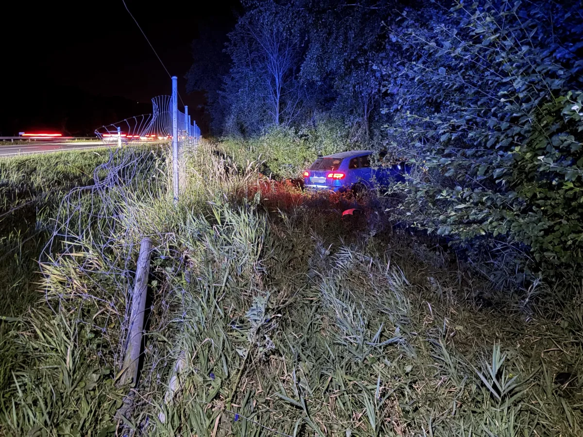 Ein blaues Auto steht in einem Gebüsch neben einer stark beschädigten Leitplanke. Es ist Nacht, und das Auto zeigt Rücklichter.