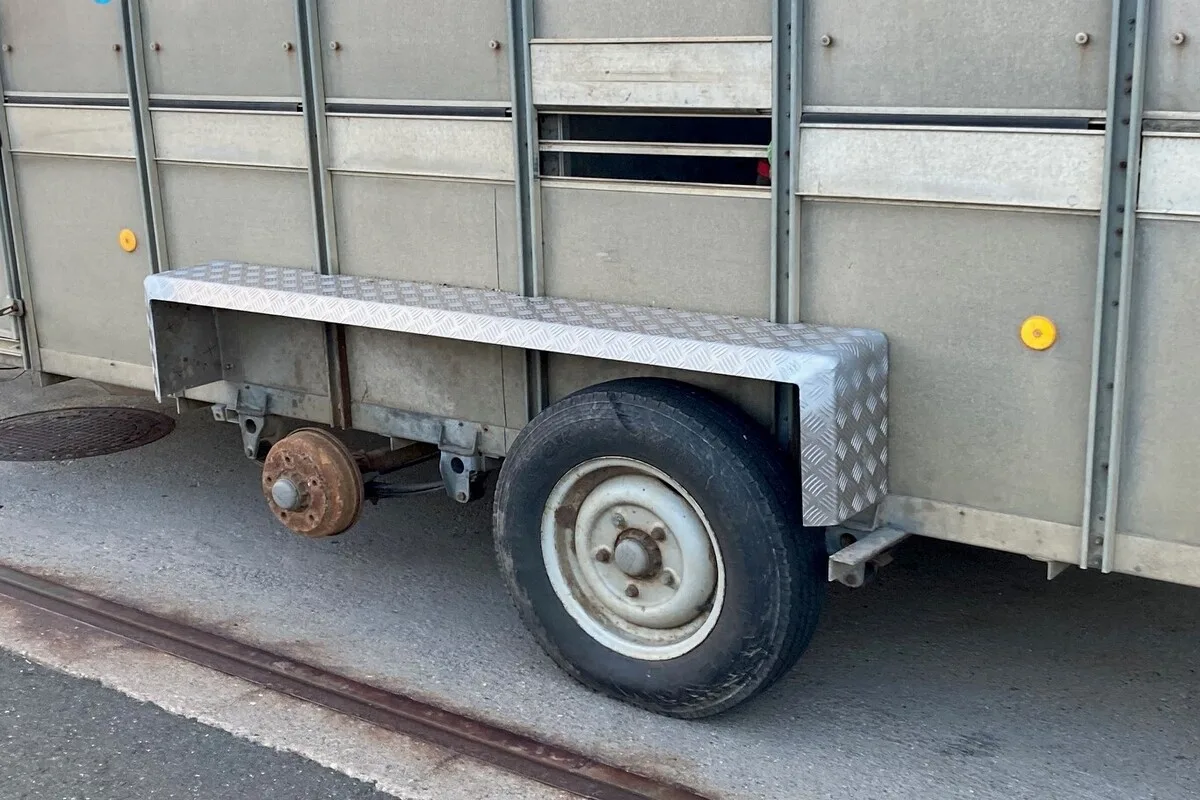 A9 in Sankt Michael i.O. – Tiertransporter aus dem Verkehr gezogen