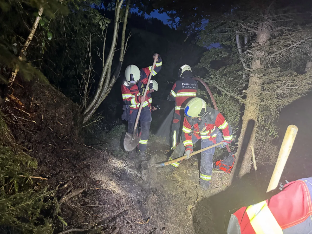 Mehrere Feuerwehrleute in Uniform sind bei Nacht im Einsatz im Wald und verwenden Schaufeln zur Bekämpfung von Glutnestern.