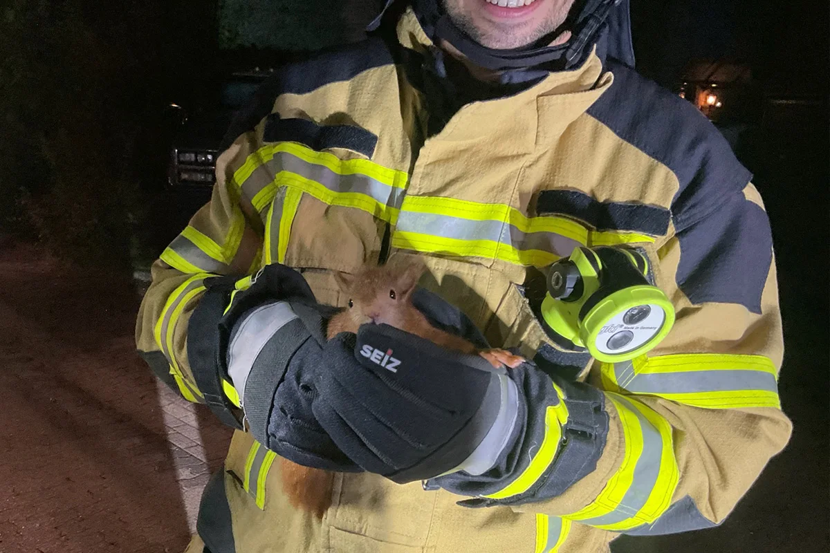 Alpen NW – Feuerwehr befreit Eichhörnchen aus Dachvorsprung