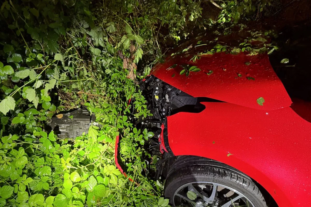 Ein rotes Auto ist sichtbar, das in einem dichten Gebüsch bei Nacht steckt. Die Vegetation verdeckt teilweise das Auto.