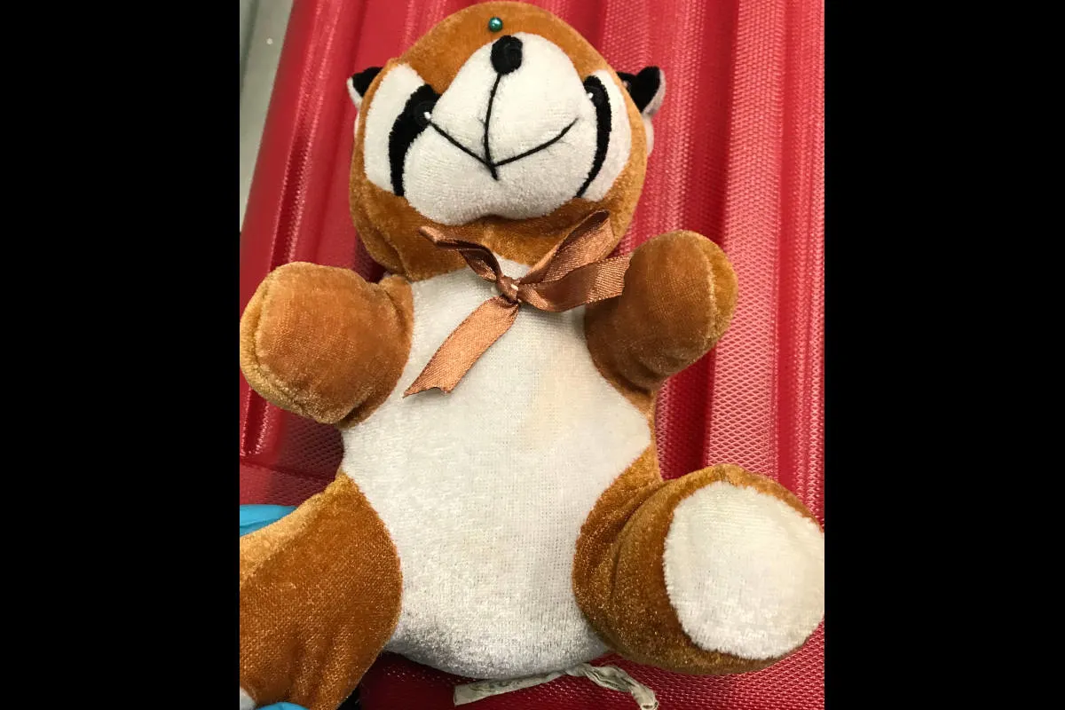 Düsseldorf – Teddybär mit Gold im Bauch