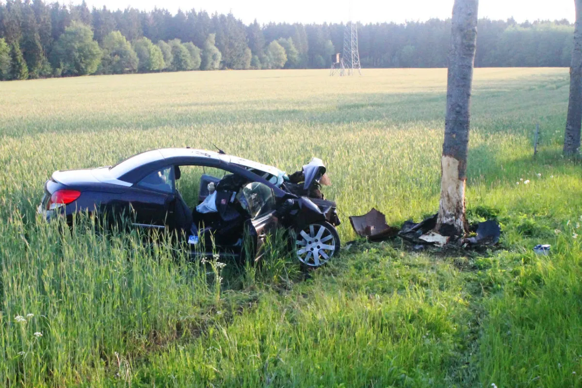 21-Jährige fährt in Baum
