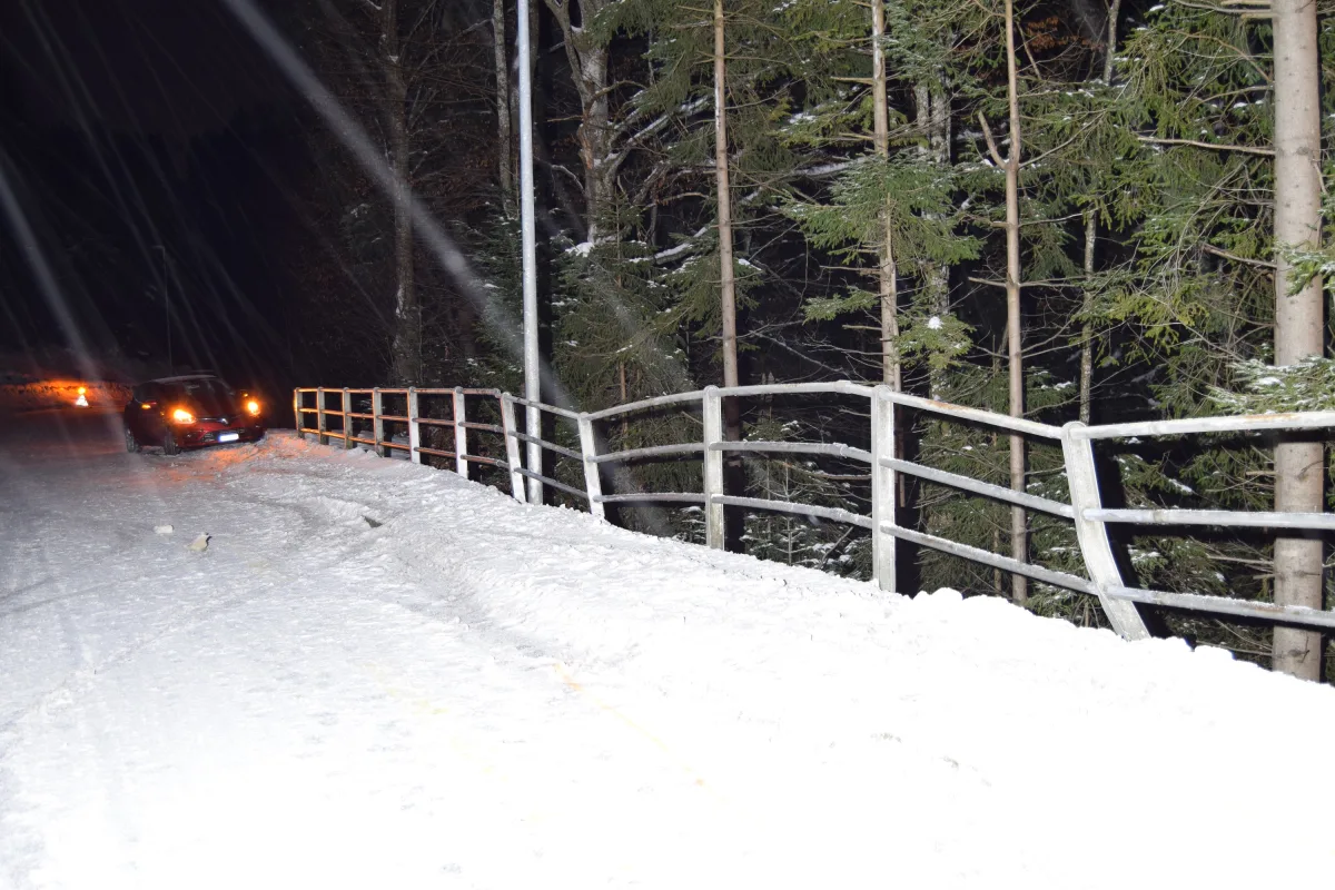Trogen AR - Selbstunfall mit Personenwagen