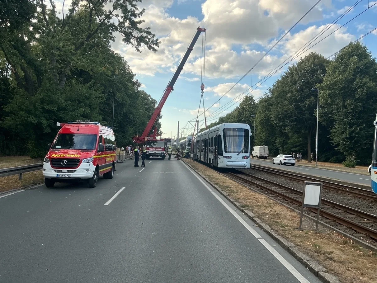 Feuerwehrfahrzeuge stehen neben einem Kran, der eine Straßenbahn hebt, auf einer mit Bäumen gesäumten Straße.