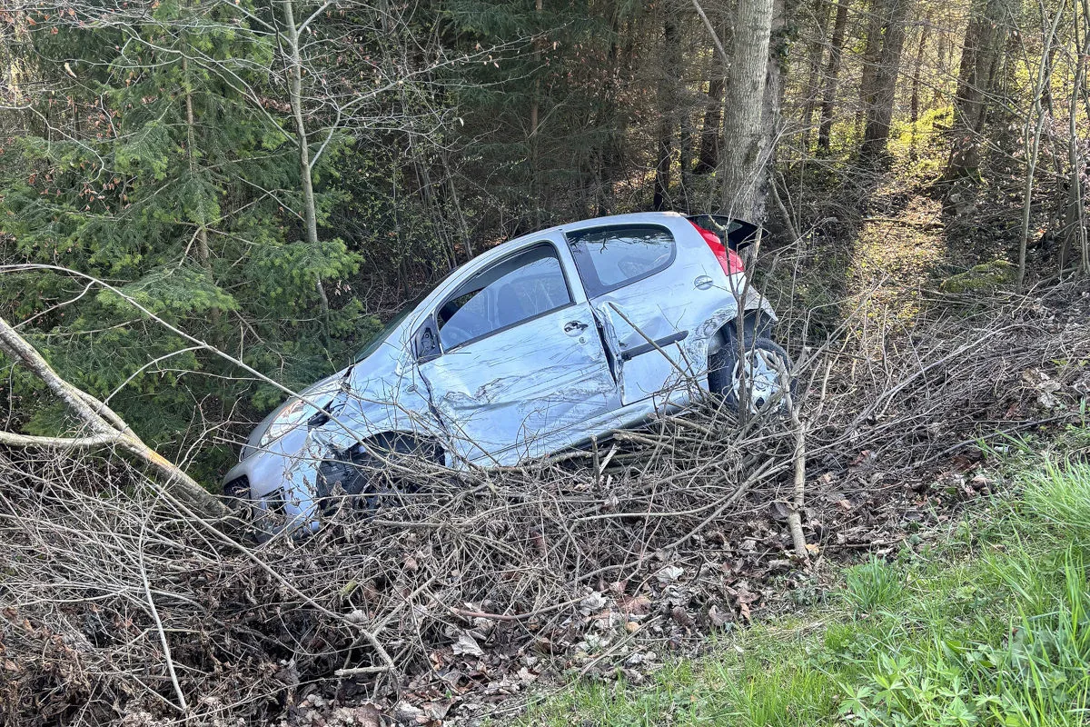 Dingenhart TG – Unfall nach Sekundenschlaf
