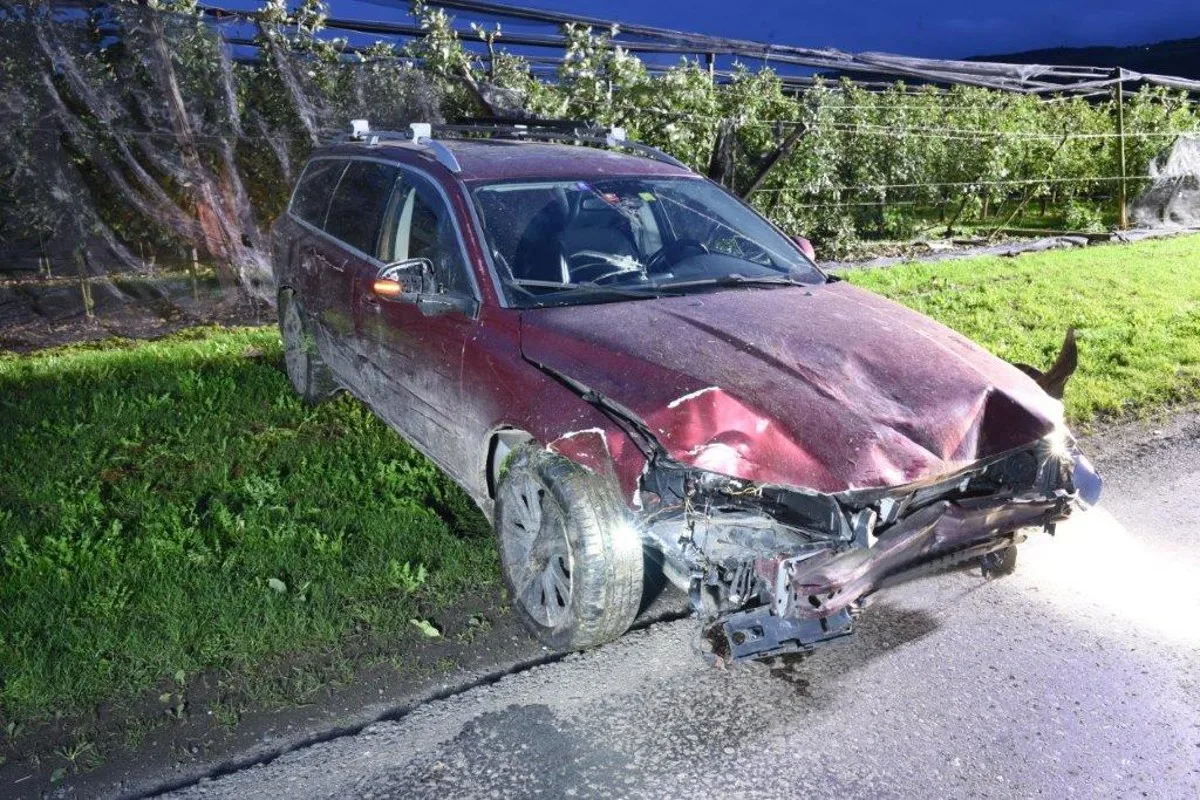 Ermensee LU - 51-jähriger Mann landet mit Volvo in Obstplantage