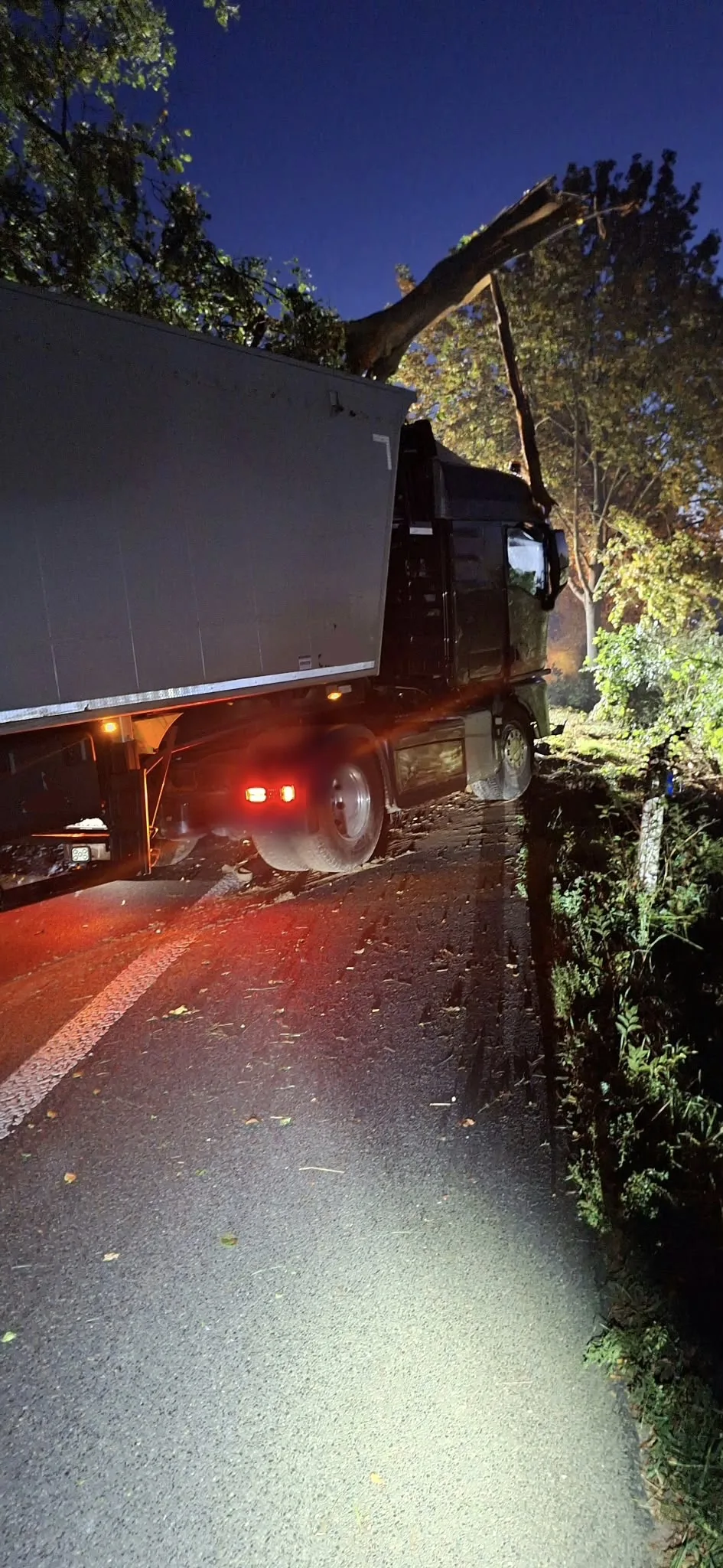 Ein Lastwagen auf einer Straße ist von einem Baum blockiert, der umgestürzt ist. Die Szene ist nachts aufgenommen.