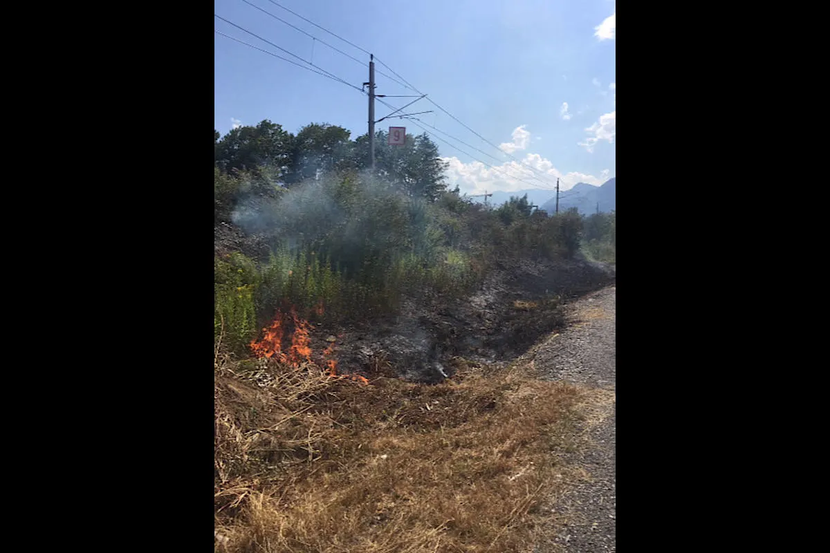 Schaan FL - Wiese in Brand geraten