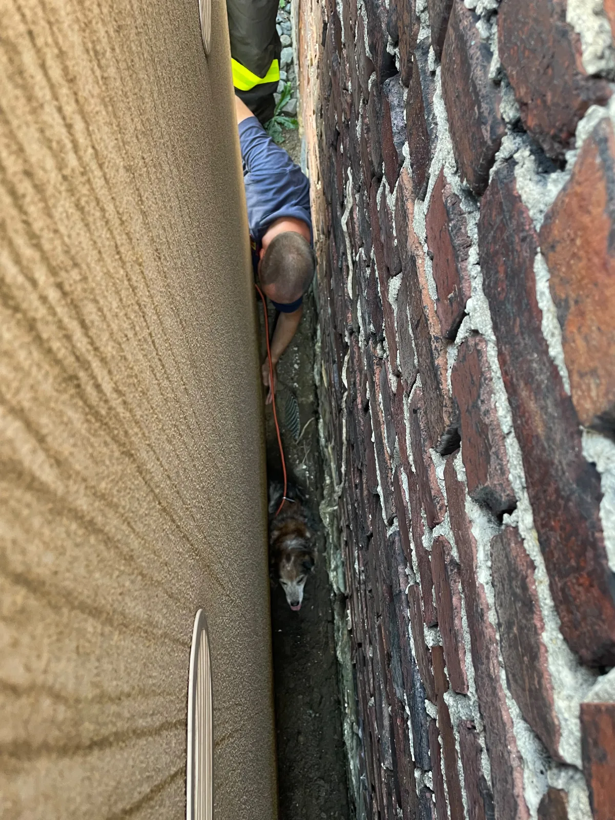 Ein Mann beugt sich zwischen zwei eng stehenden Wänden, um einen Hund zu retten. Der Hund befindet sich tief in dem schmalen Spalt.