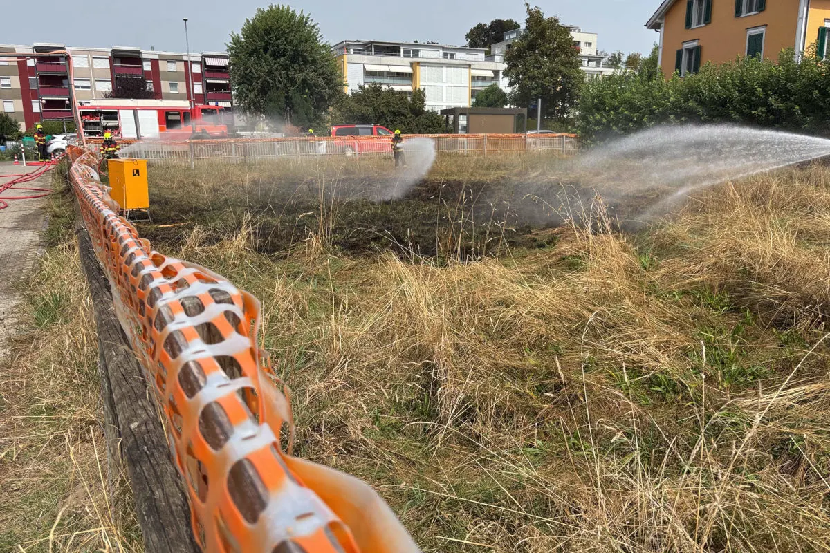 Im Vordergrund ist eine trockene Wiese zu sehen, auf der die Feuerwehr mit Löschschläuchen ein Feuer bekämpft. Dahinter stehen Wohngebäude.