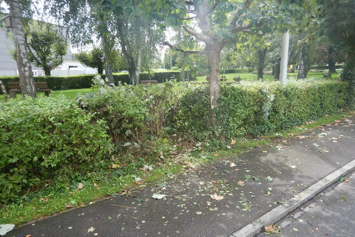 Kreuzlingen TG - Unfallverursacher hat sich gemeldet