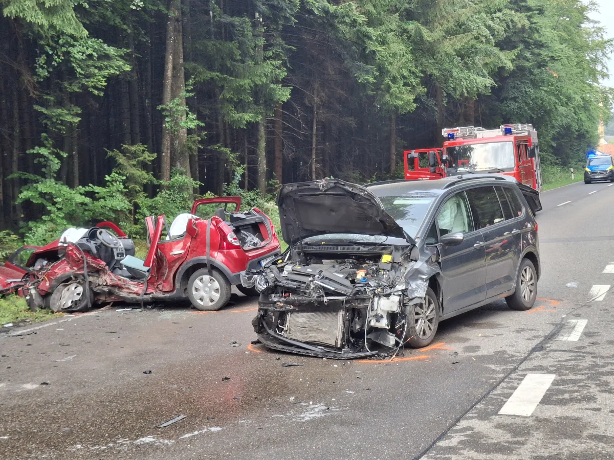 Zwei stark beschädigte Autos stehen auf einer Straße am Waldrand, mit einem Feuerwehrfahrzeug im Hintergrund.