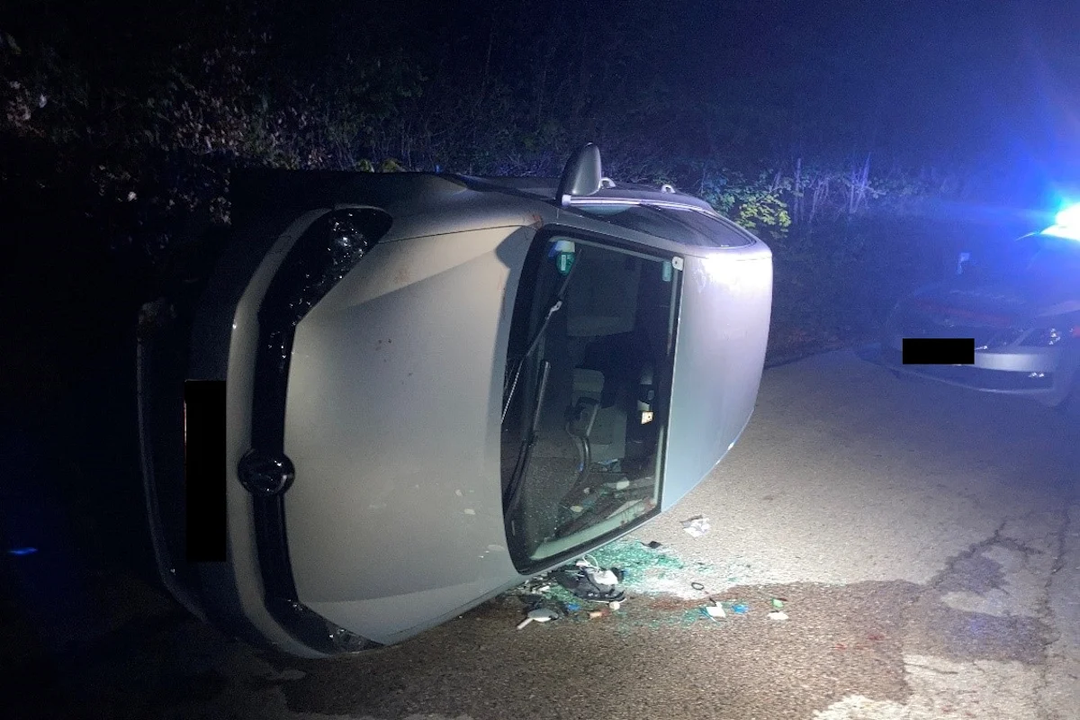 Wien – Reh ausgewichen und mit Auto umgekippt