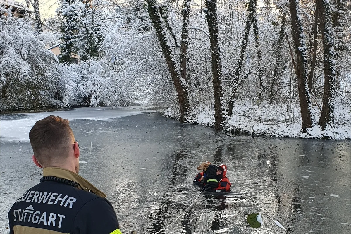 Tierrettung  in Stuttgart - Hund in Eisfläche eingebrochen