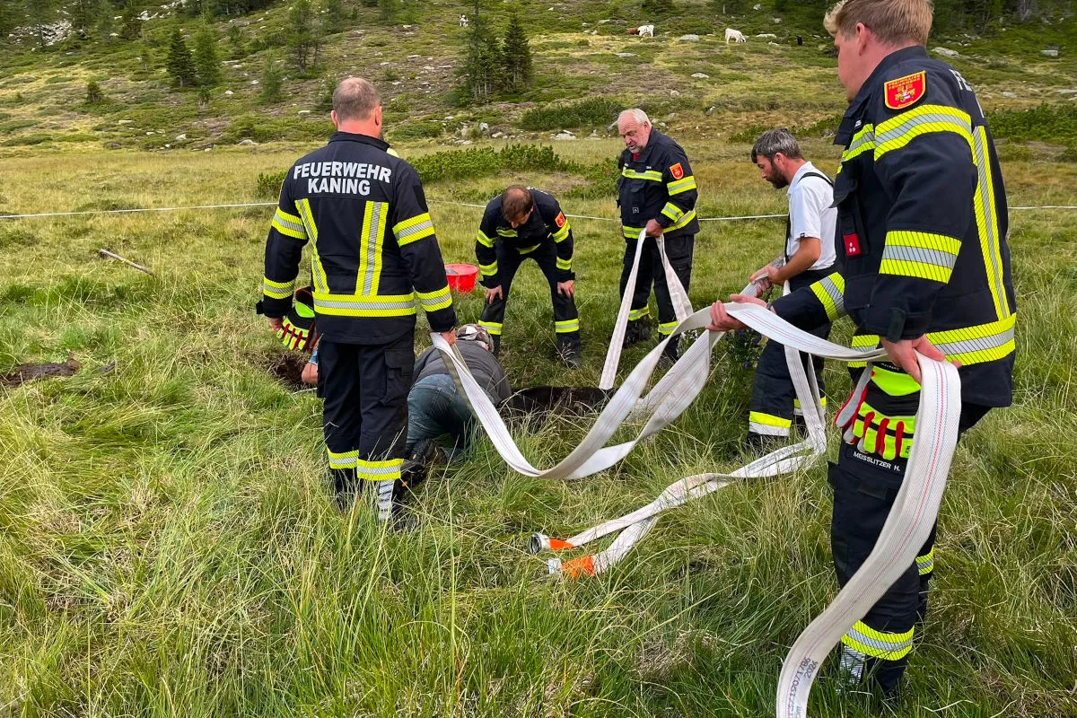 Feuerwehrleute der Einheit KANING arbeiten in einer Wiese. Sie halten Schläuche und sind bei einem Rettungseinsatz aktiv.