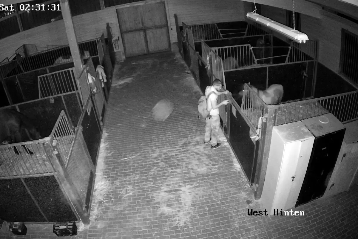 Jena - Ponys im Genitalbereich verletzt - Zeugen gesucht