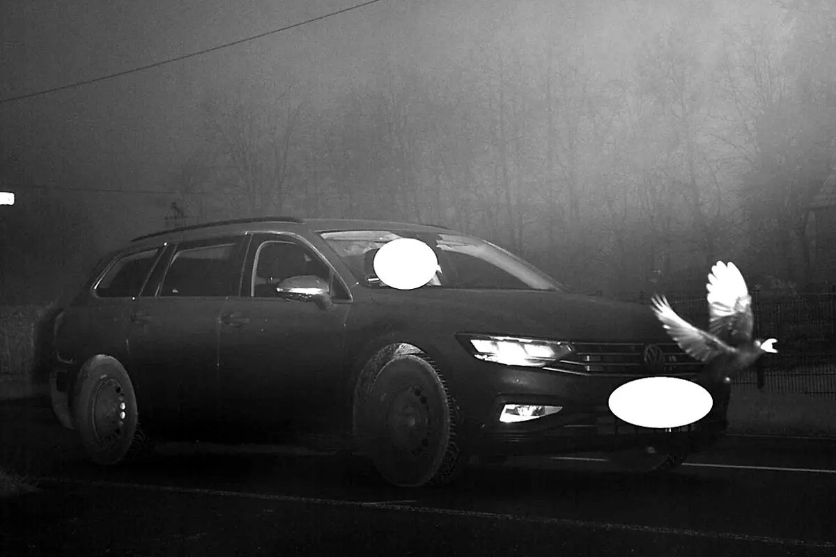 Raser-Vogel in Senden - Schneller als die Polizei erlaubt!