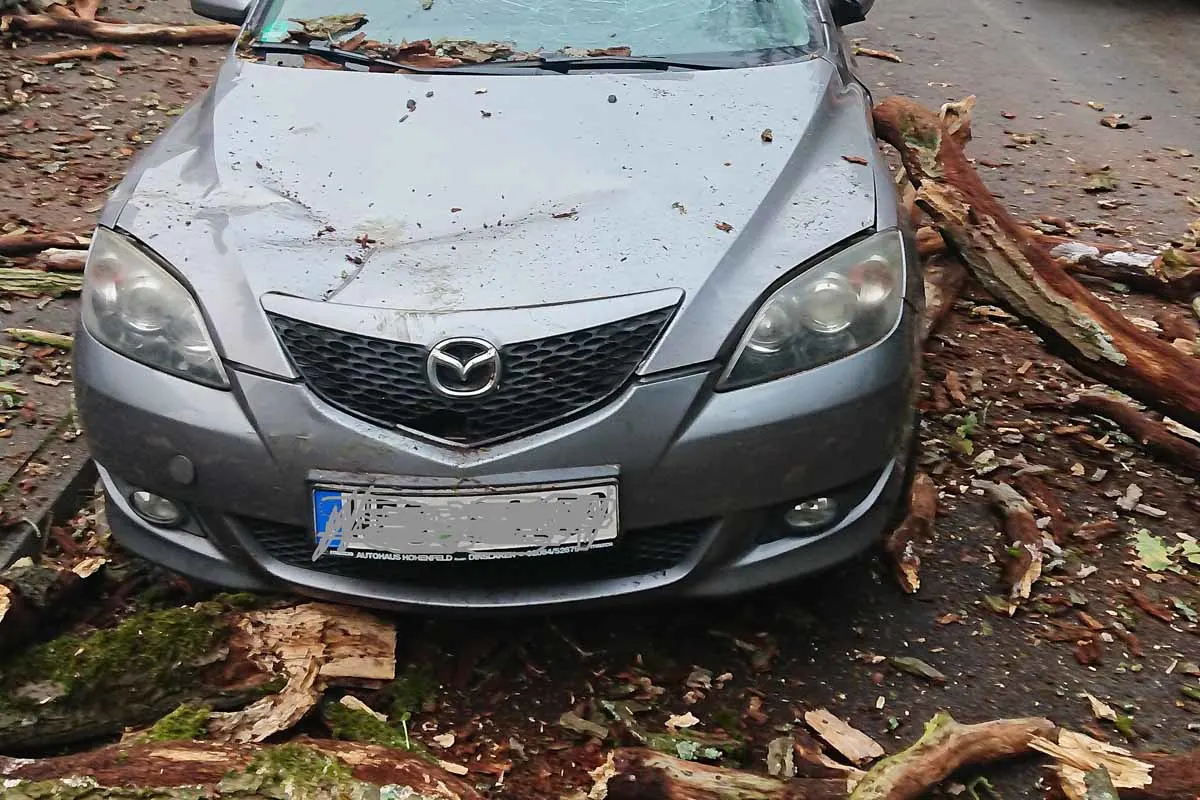 Dinslaken - Baum stürzte auf geparkten PKW