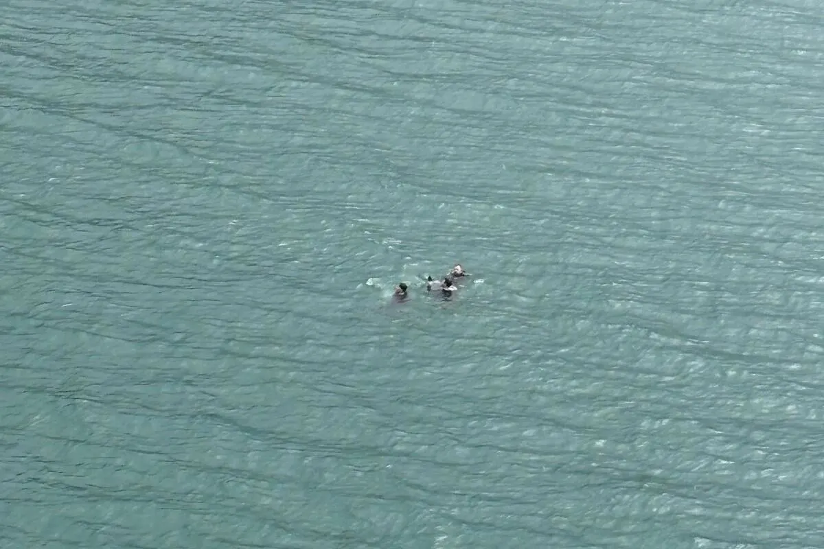 Vier Personen sind in einem Gewässer zu sehen, das von oben fotografiert wurde. Die Personen schwimmen oder treiben im ruhigen Wasser.