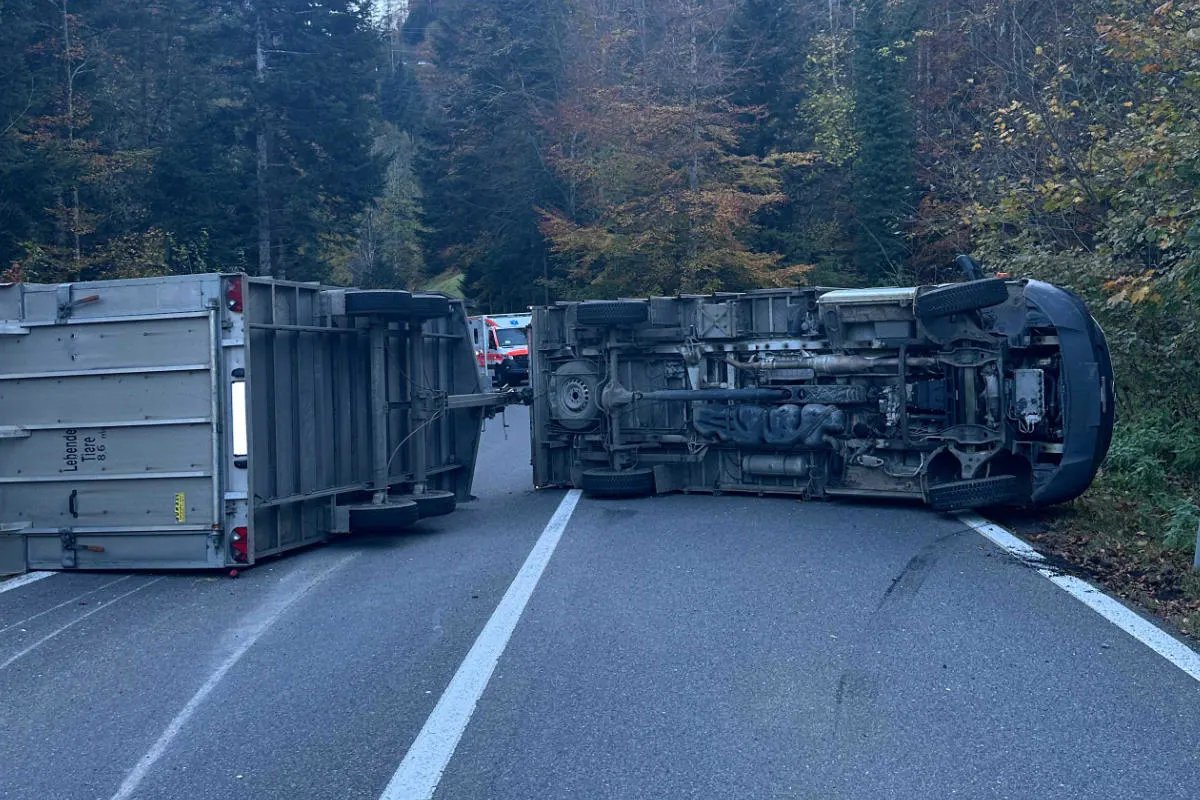 Lungern OW – Viehtransporter auf Brünigstrasse umgekippt