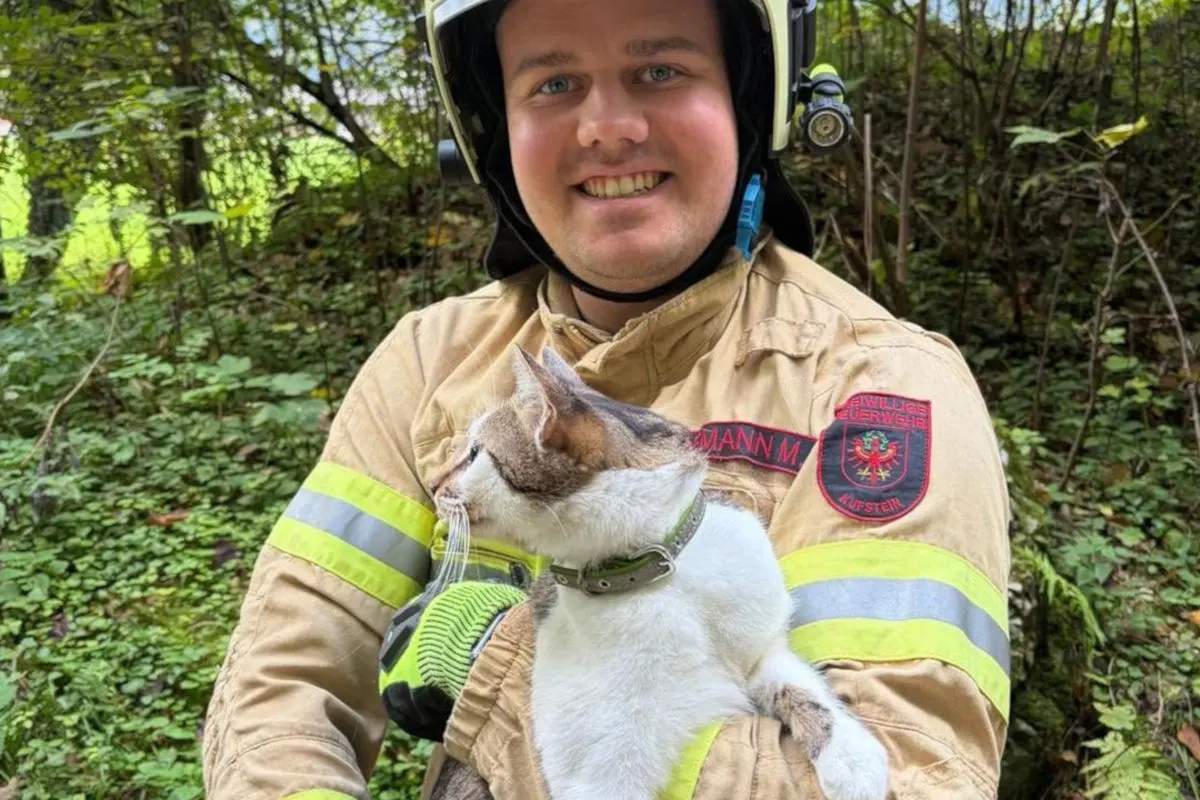 Ein Feuerwehrmann in Schutzkleidung hält eine gerettete Katze im Arm. Im Hintergrund ist ein bewaldetes Gebiet sichtbar.