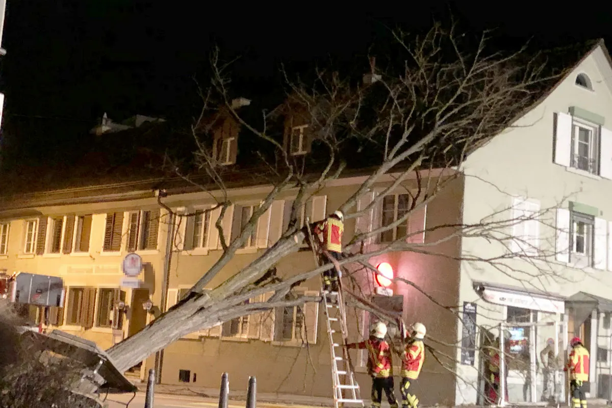 Frauenfeld TG - Sturmschäden im Thurgau