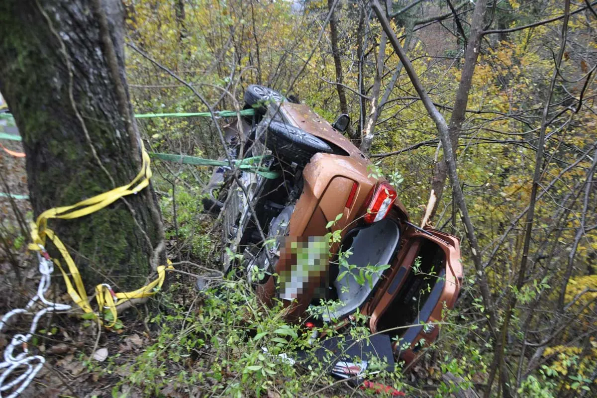 Unfall in Trimbach SO - Auto bleibt in Bäumen hängen